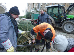 Es weihnachtet in St. Crescentius (Foto: Karl-Franz Thiede)